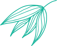 Leaf branch line art design Pk Learnings